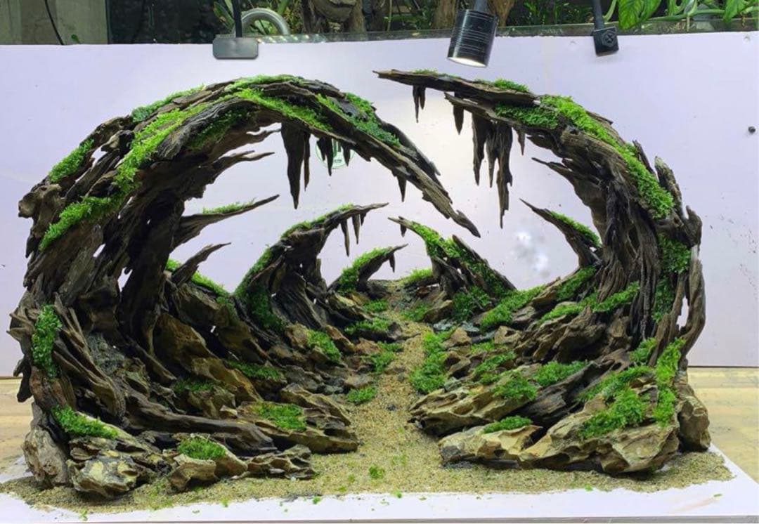 水槽用流木レイアウト 。水槽用流木アクアリウムレイアウト。水槽用流木 。盆栽流木