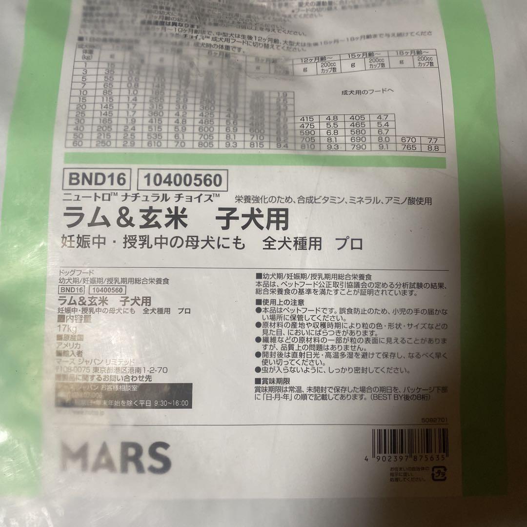 ⑧NC 子犬 ラム 17kg