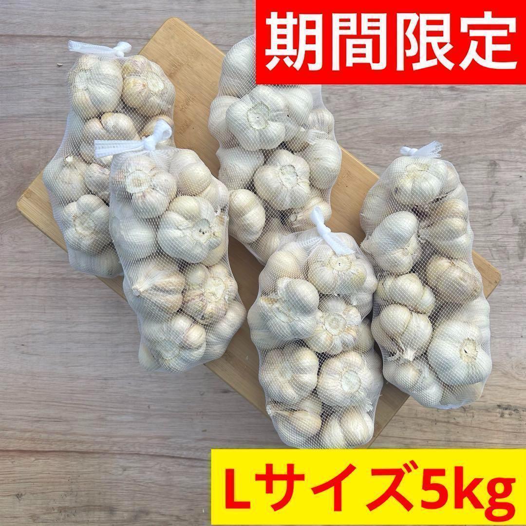 【期間限定】新物 青森県産ニンニク 5kg L 福地ホワイト 加工 種 激安