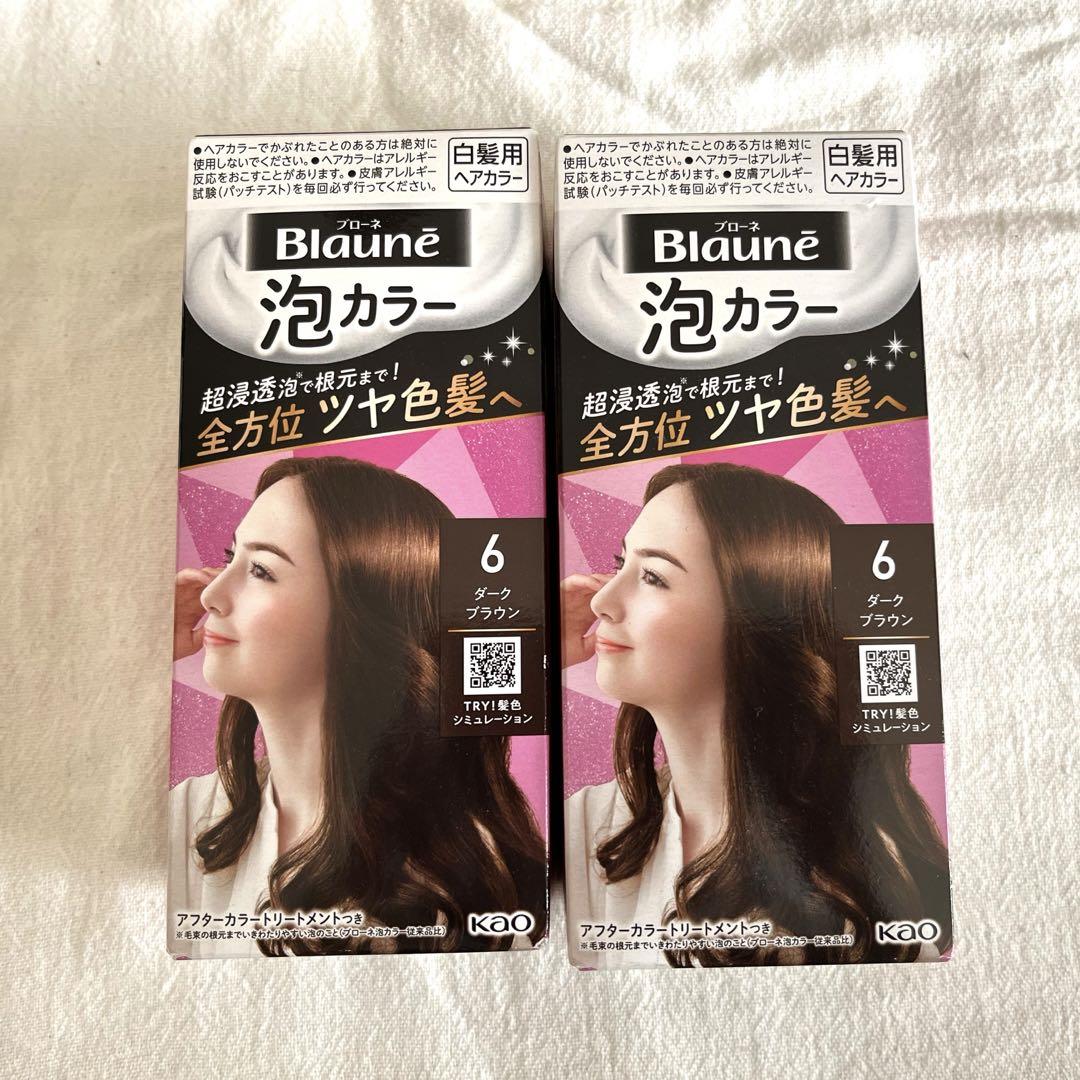 ブローネ 泡カラー 白髪用ヘアカラー ダークブラウン 2個セット