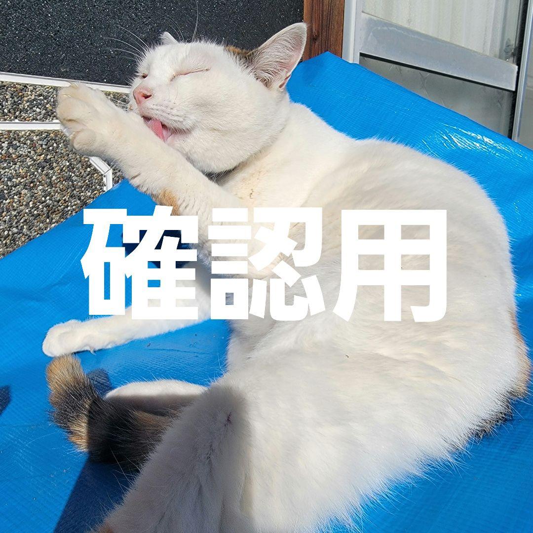 確認用