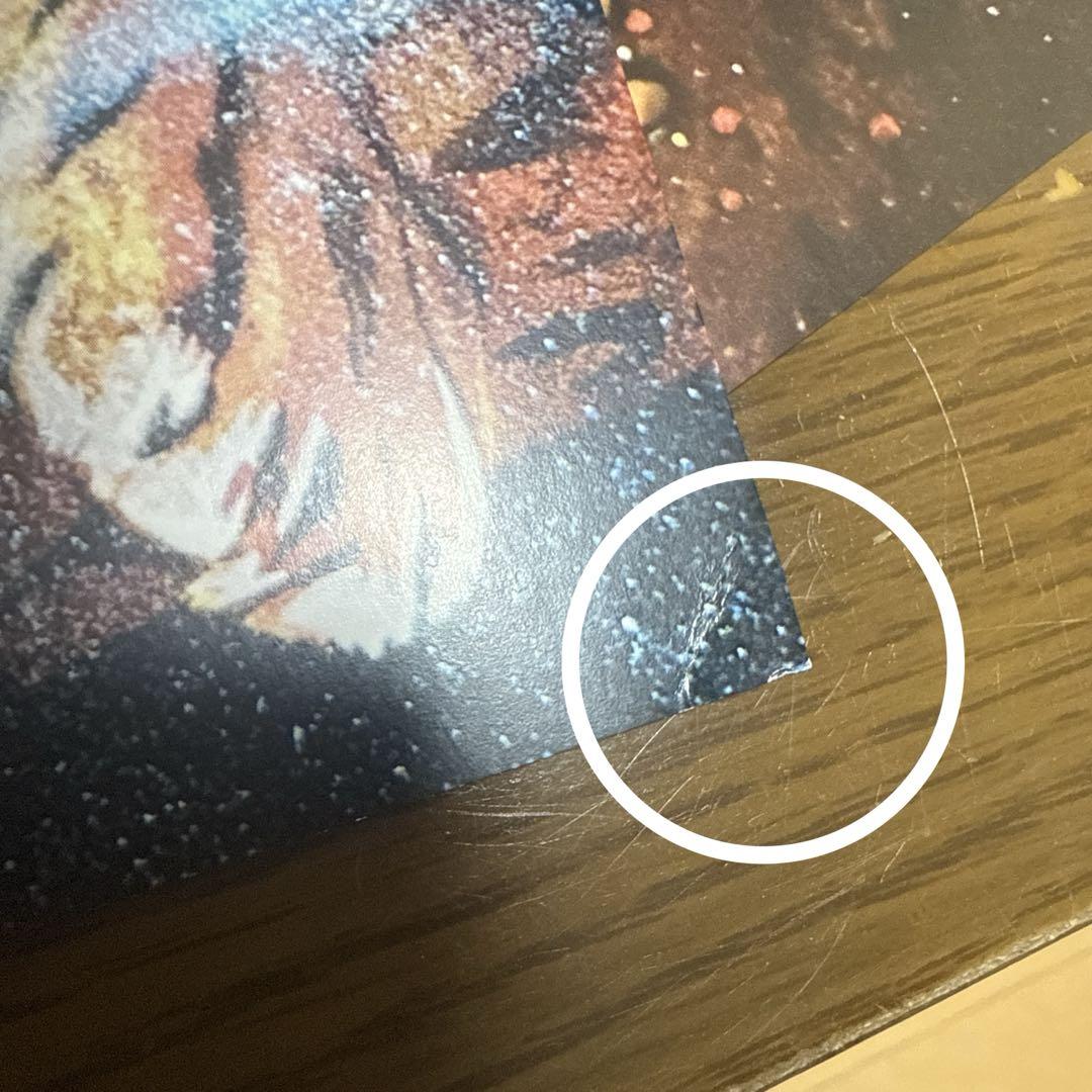 t.o様確認用