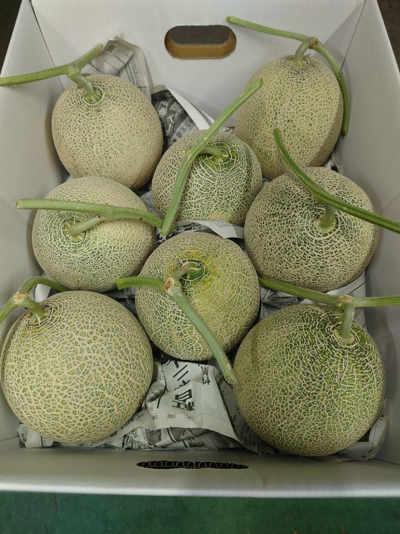 訳あり　富良野産赤肉メロン　8kg　8玉入り