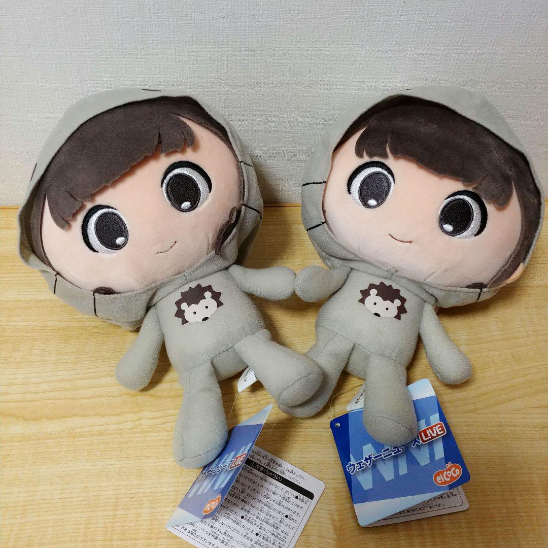 ウェザーニュースLiVE　ココぎゅっと！ぬいぐるみ  檜山沙耶  大島璃音キャラクターグッズ