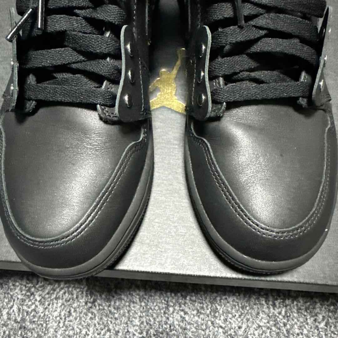 COMME des GARCONS HOMME PLUS × NIKE AJ1
