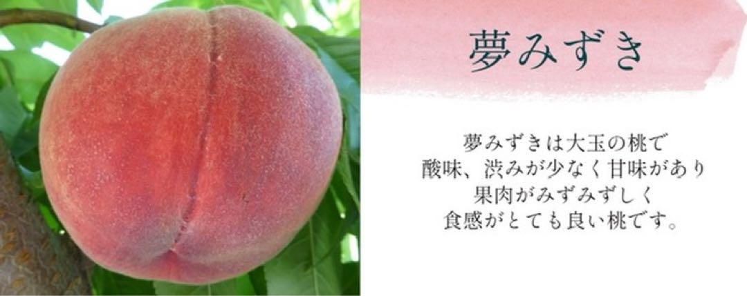 桃　5kg ご自宅用　山梨県産　夢みずき 桃 5kg ご自宅用 山梨県産 夢みずき - メルカリ