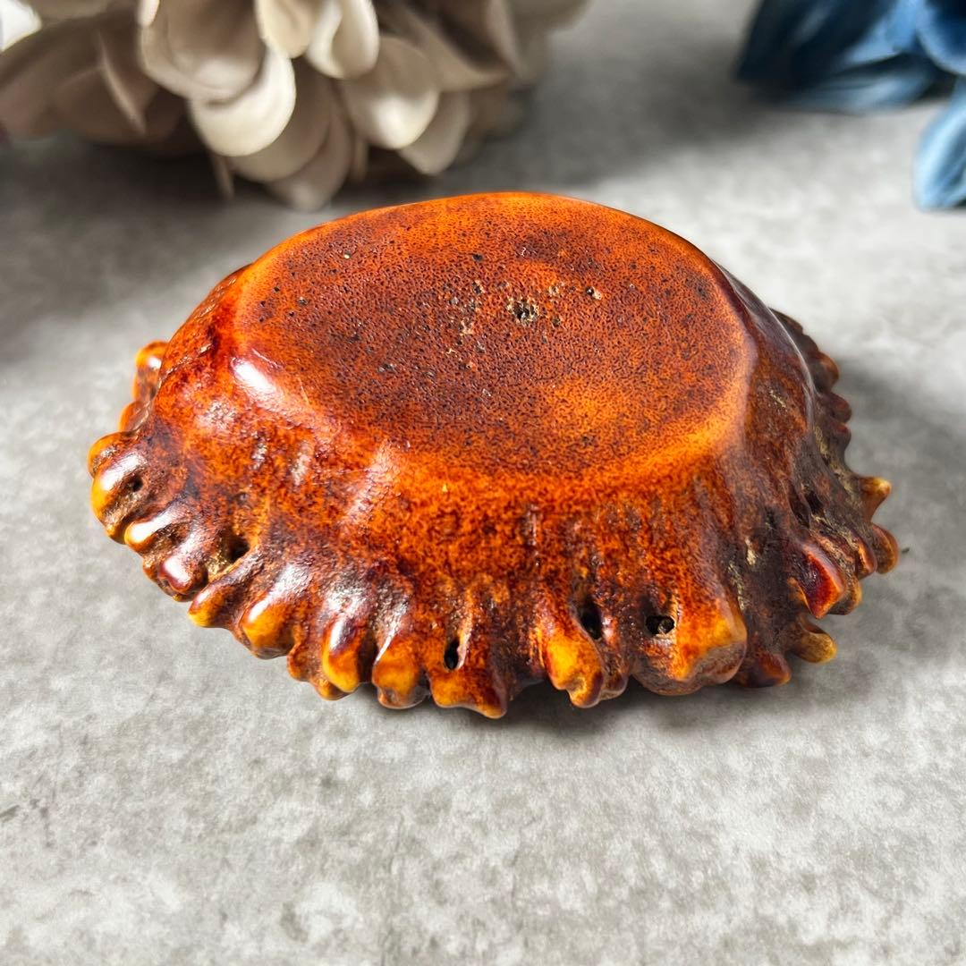 【珍品】鹿の角 鹿角水盂 笔舔 匙付 枝角