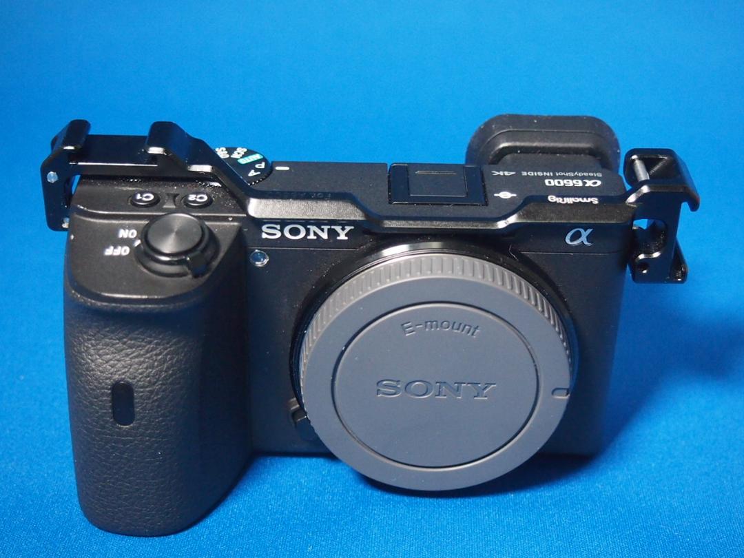 α6600