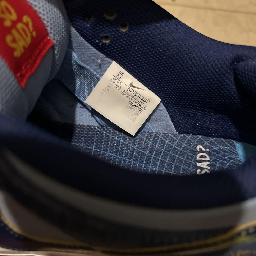 スケートボード Nike SB Dunk Low Pro WHY SO SAD?