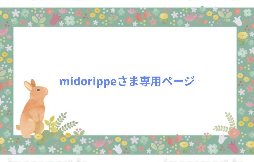 midorippeさま専用ページ♪