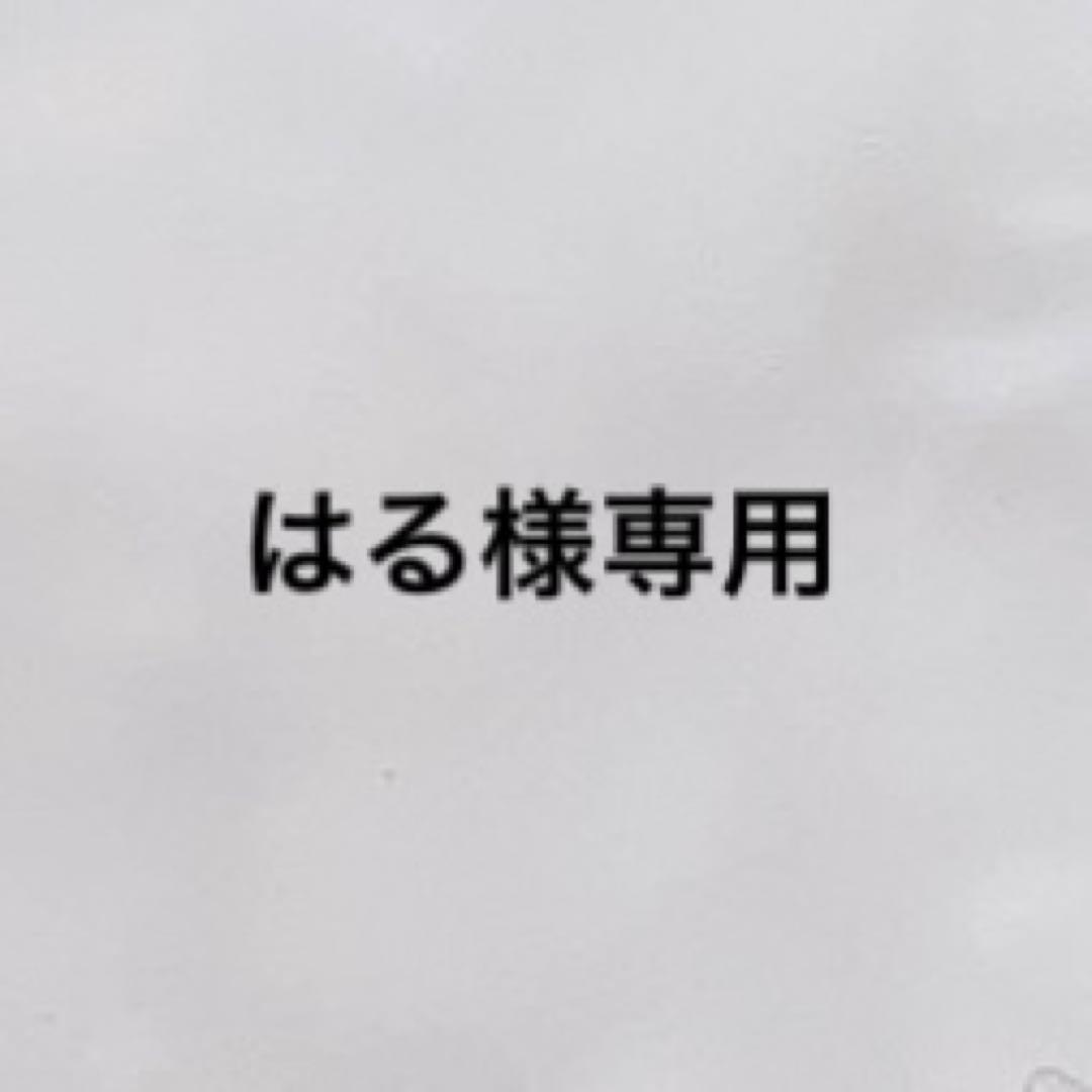 【はる様専用】無洗米　令和6年度　新米　はれわたり　30キロ　精米無料　青森米