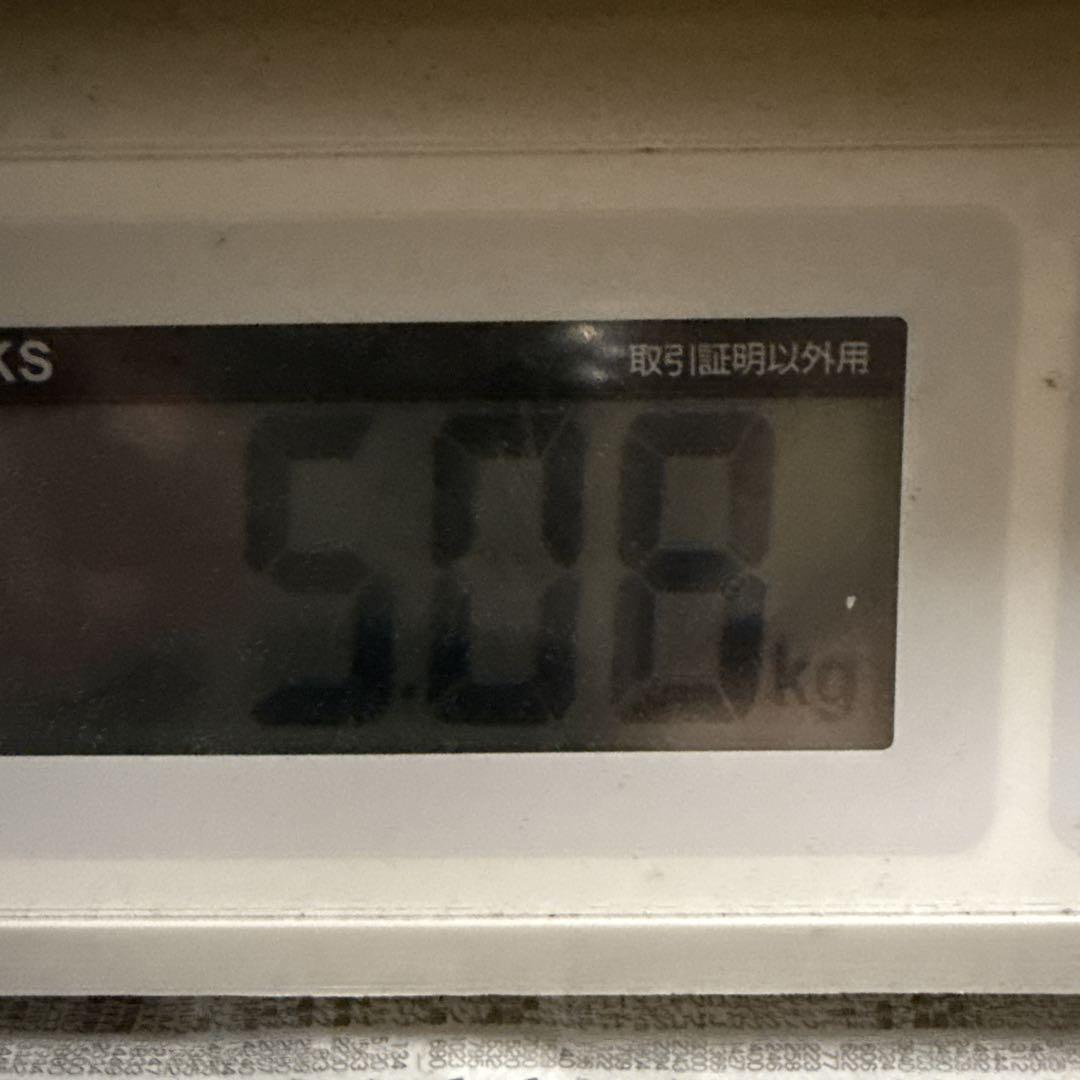 宮崎県産摘果マンゴー グリーンマンゴー 約5kg
