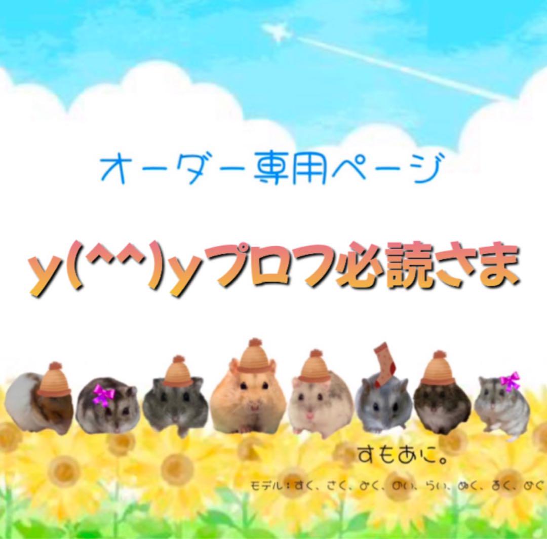 y(^^)yプロフ必読様専用オーダーページ ルーミィ60専用特大