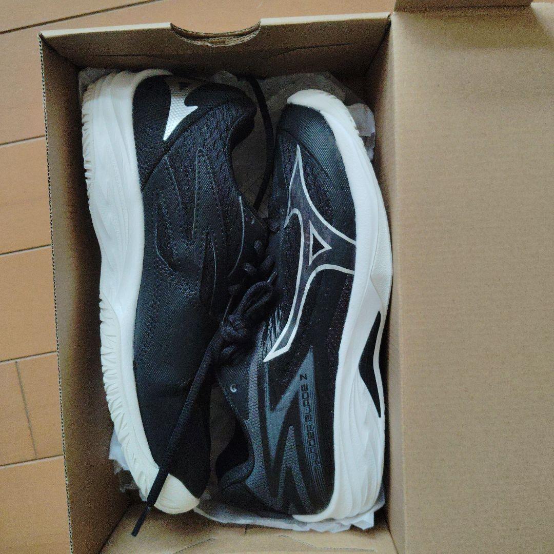 Mizuno バレーボールシューズ & DESCENTE ショートパンツ