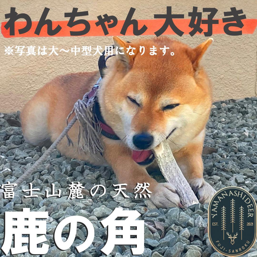 天然鹿の角 ペット 犬 おやつ ハンドメイド - golden-shoes.com 天然鹿の角 ペット 犬 おやつ ハンドメイド - golden-shoes.com