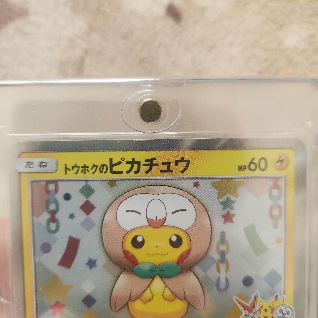 トウホクのピカチュウ