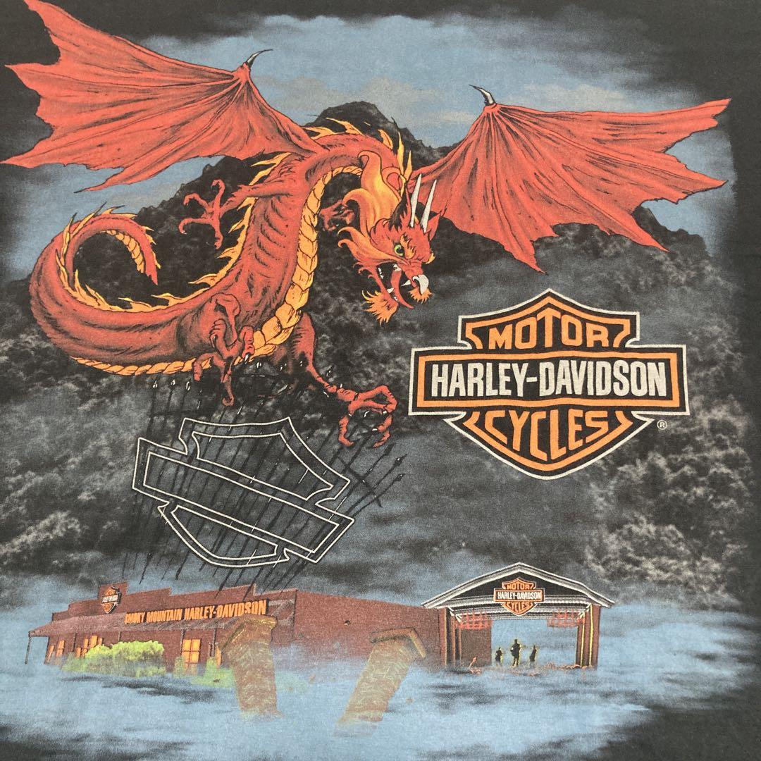 ハーレーダビッドソン デカロゴ tシャツ ドラゴン 龍 竜 USA製