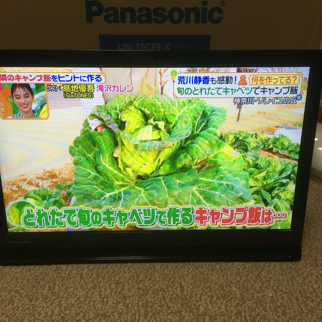 Panasonic プライベート ビエラ UN-19CF9 アンテナケーブル付】Panasonic プライベート ビエラ UN-19CF9