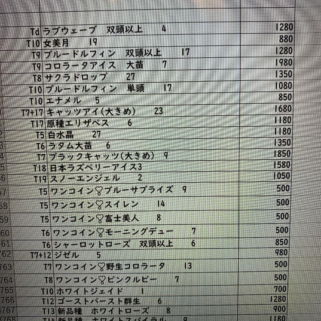 限定品人気 187.リンマロン様 NmKWG-m20215393412 爆買い定番