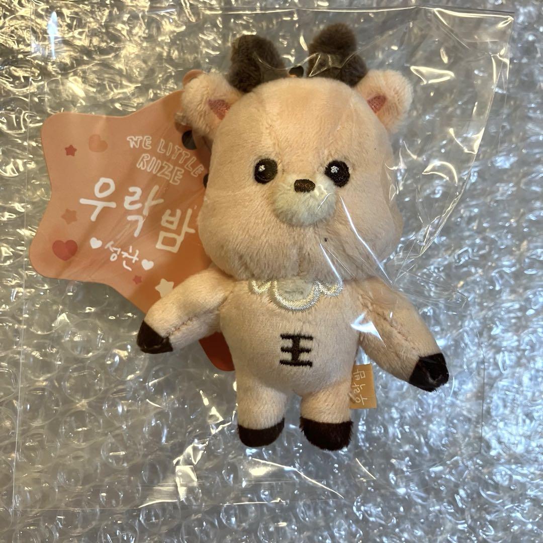 WE LITTLE RIIZE RIIZE PARK ソンチャン ぬい 8cm - メルカリ