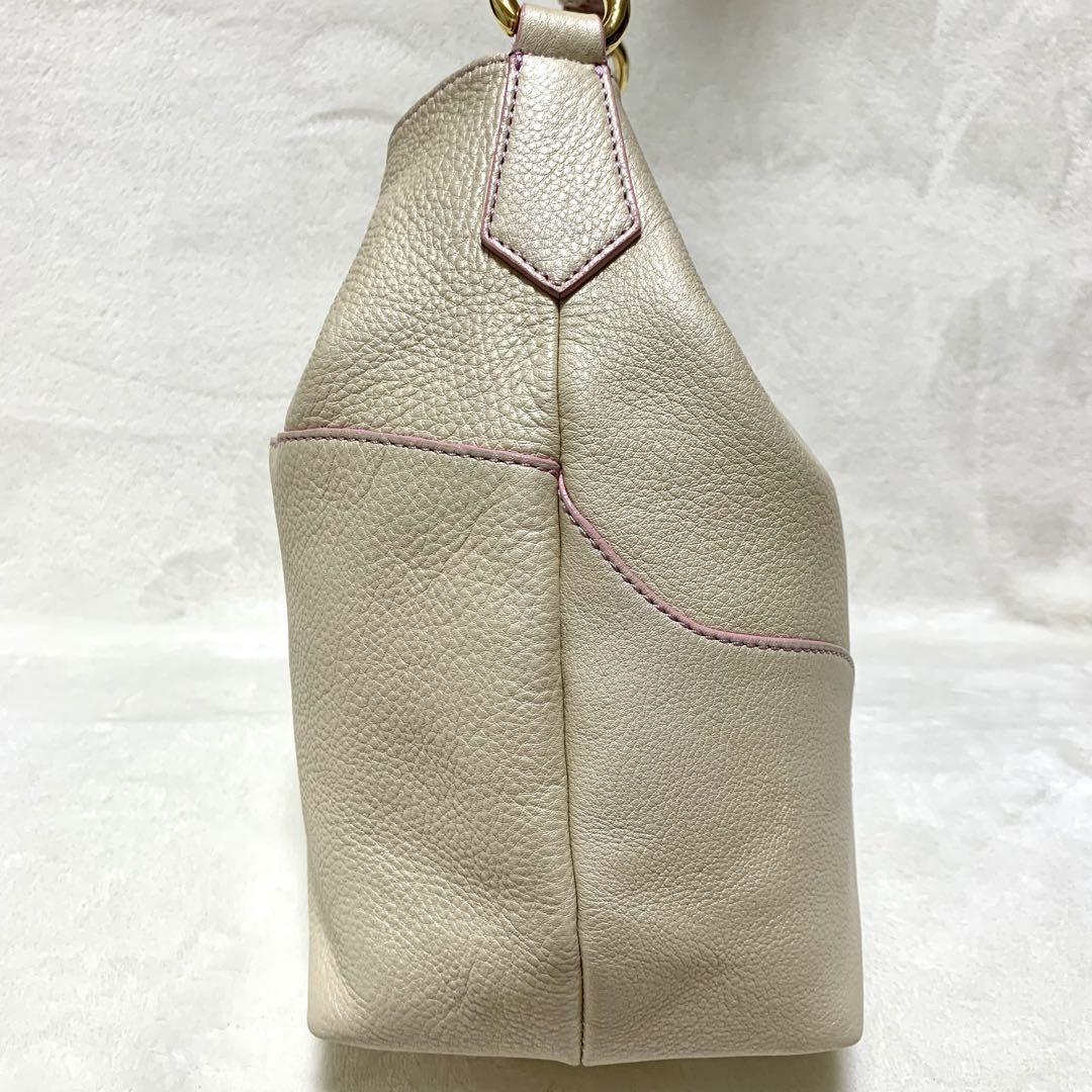 極美品 ロベルタディカメリーノ レーネ ショルダーバッグ 限定色