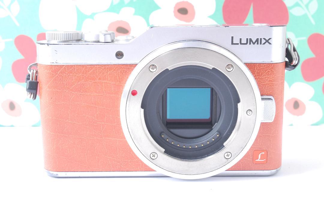 ❤❤Panasonic パナソニック LUMIX DC-GF9 ボディ❤