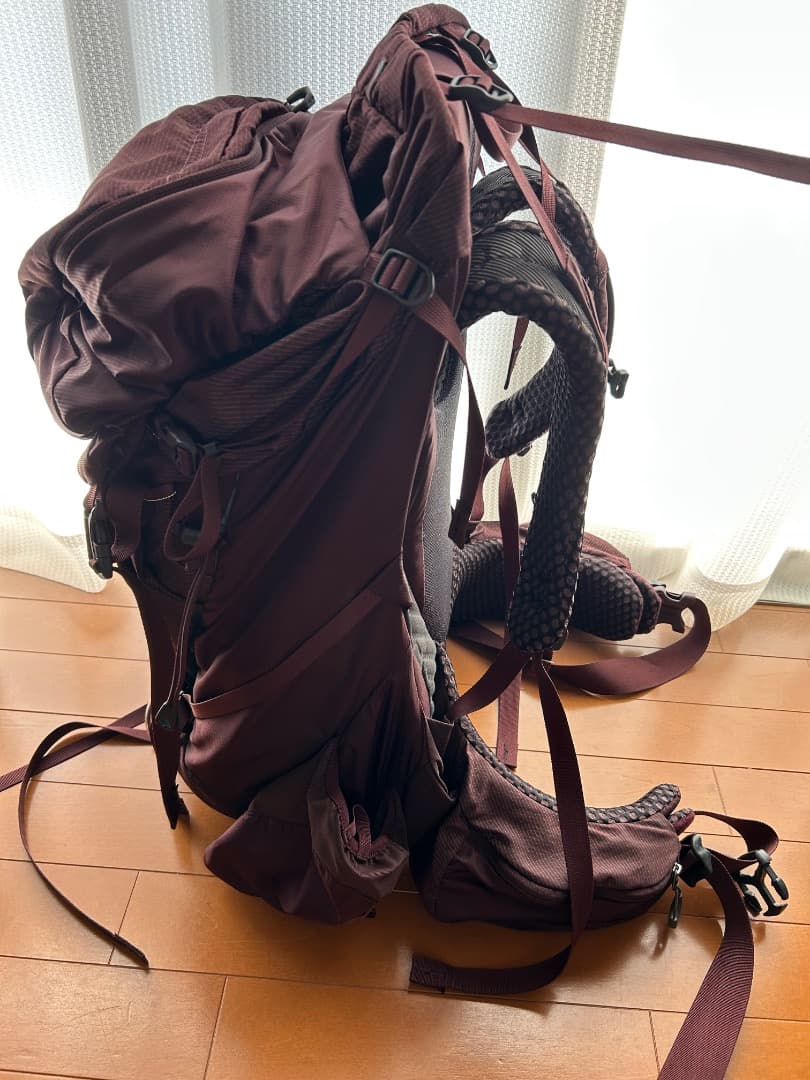 グレゴリーディーバ60