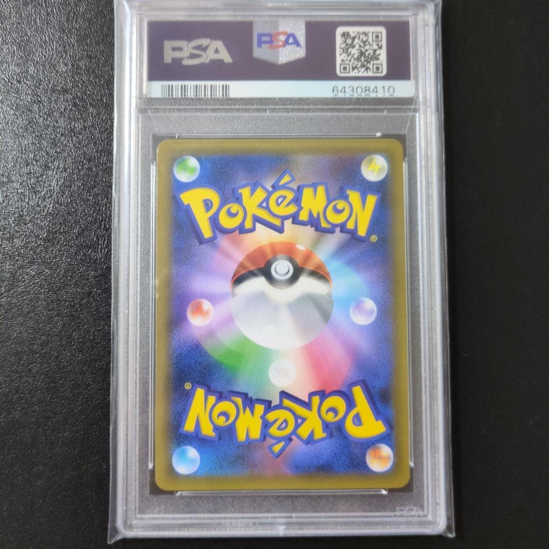 エリカのおもてなしSR PSA10 STEELWINDOWSANDDOORS_COM