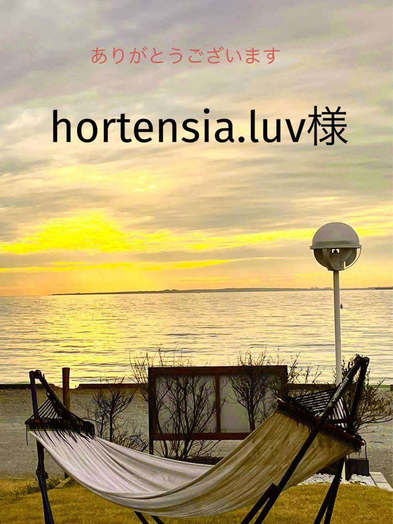 hortensia.luv様専用