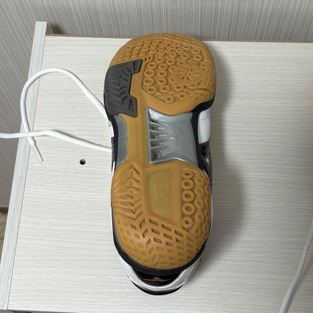 【美品】バドミントンシューズ WAVE FANG PRO