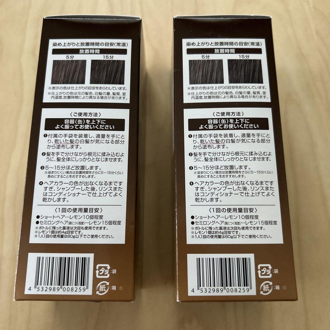 ヘアボーテ エクラ　ボタニカル エアカラーフォーム　2本　新品