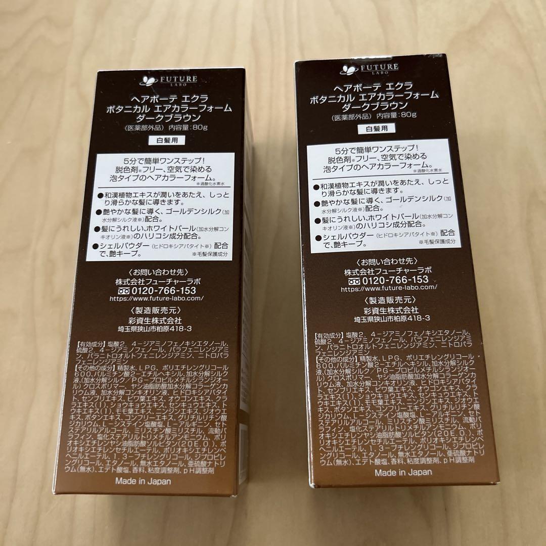 ヘアボーテ エクラ　ボタニカル エアカラーフォーム　2本　新品