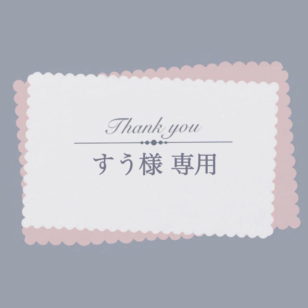 すう様 リクエスト 2点 まとめ商品