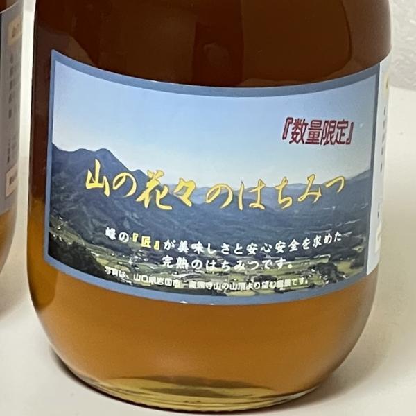 国産 純粋 無添加 非加熱 生蜂蜜 山の花々のはちみつ 600g