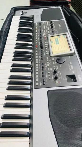 KORG PA-900 電子オルガン Pa900 - Professional Arranger | KORG (USA)