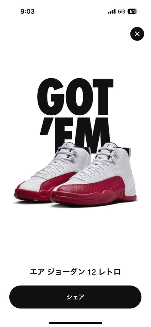 【美品】Air Jordan 12 【美品】Air Jordan 12