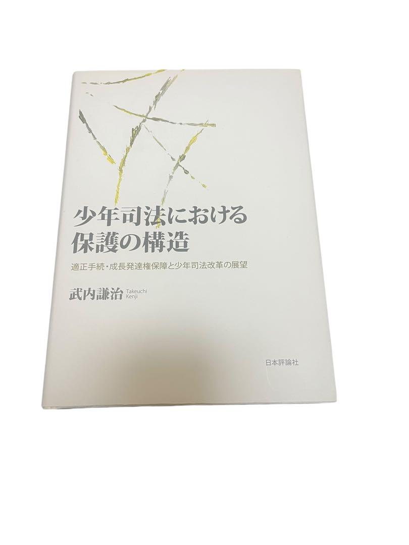 少年司法における保護の構造 : 適正手続・成長発達権保障と少年