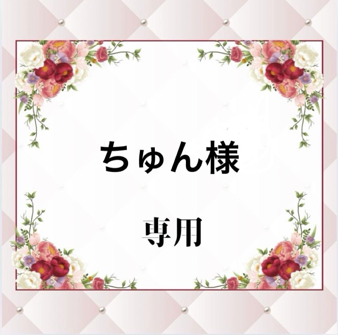 ちゅん様専用