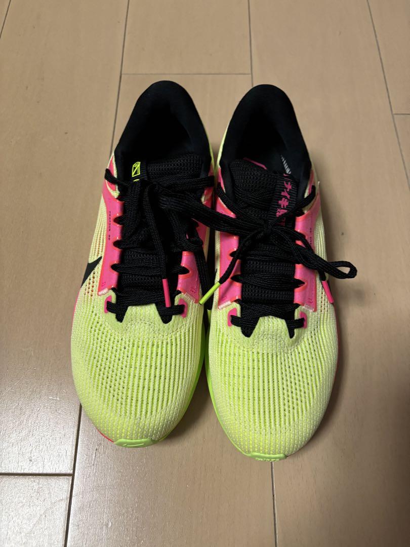 Nike ズームペガサス40 メンズ24.5