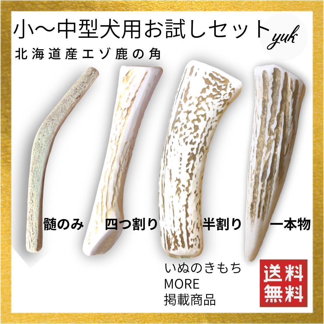 迷ったらこちら　小〜中型犬用お試し4本セット　髄のみ＆四つ割り＆半割り＆一本物おもちゃ