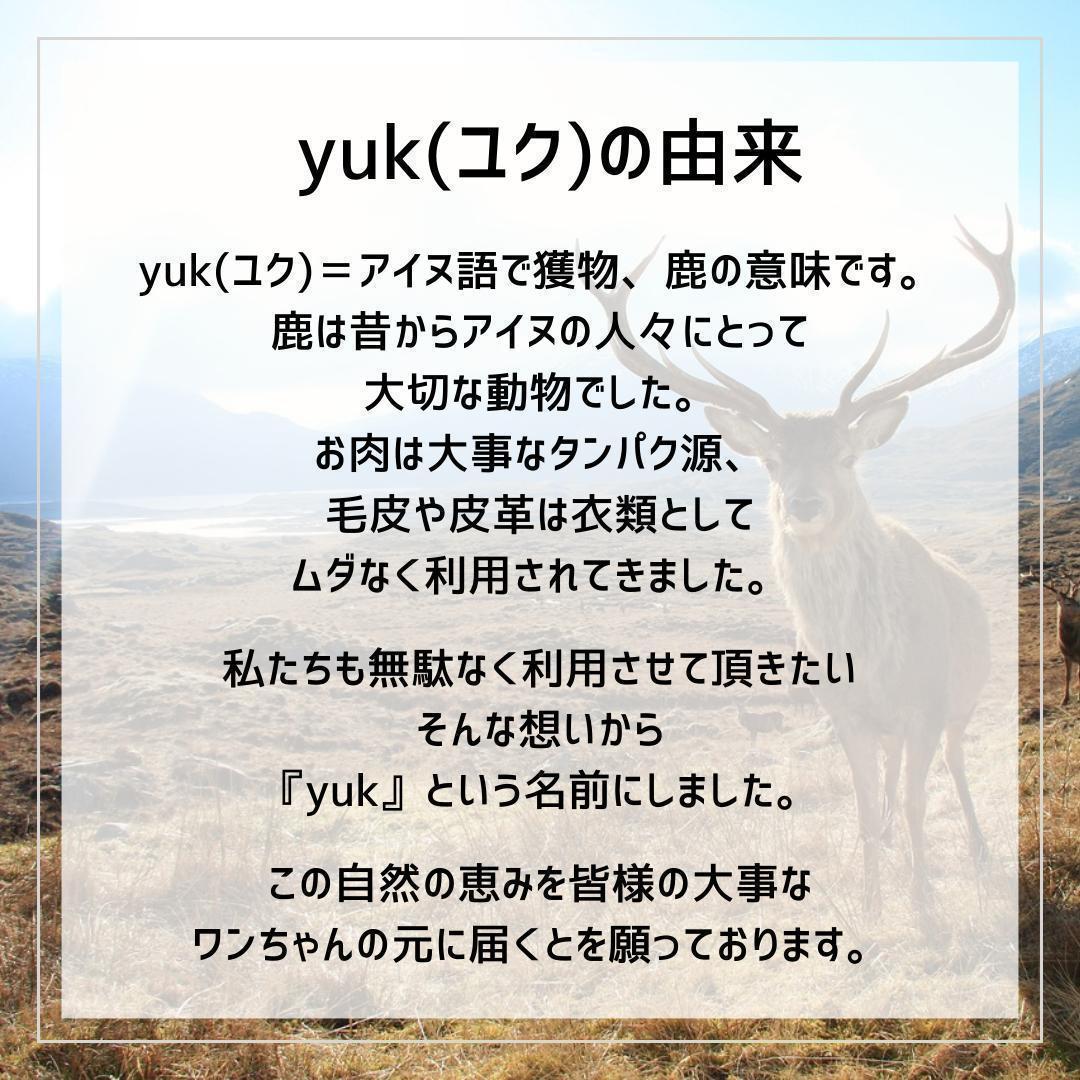 迷ったらこちら　小〜中型犬用お試し4本セット　髄のみ＆四つ割り＆半割り＆一本物