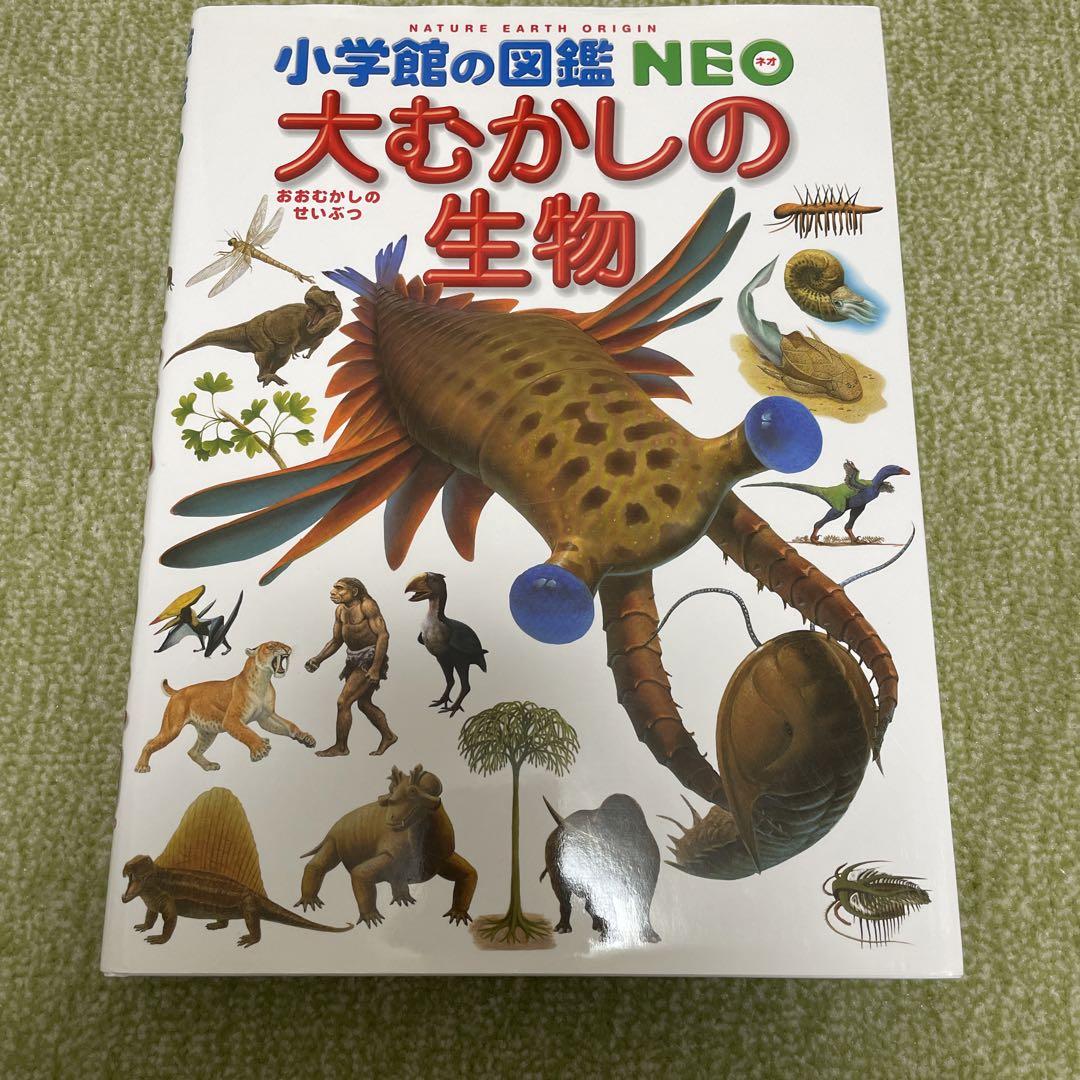 小学館の図鑑Neo 大むかしの生物 恐竜 海の生き物 - メルカリ
