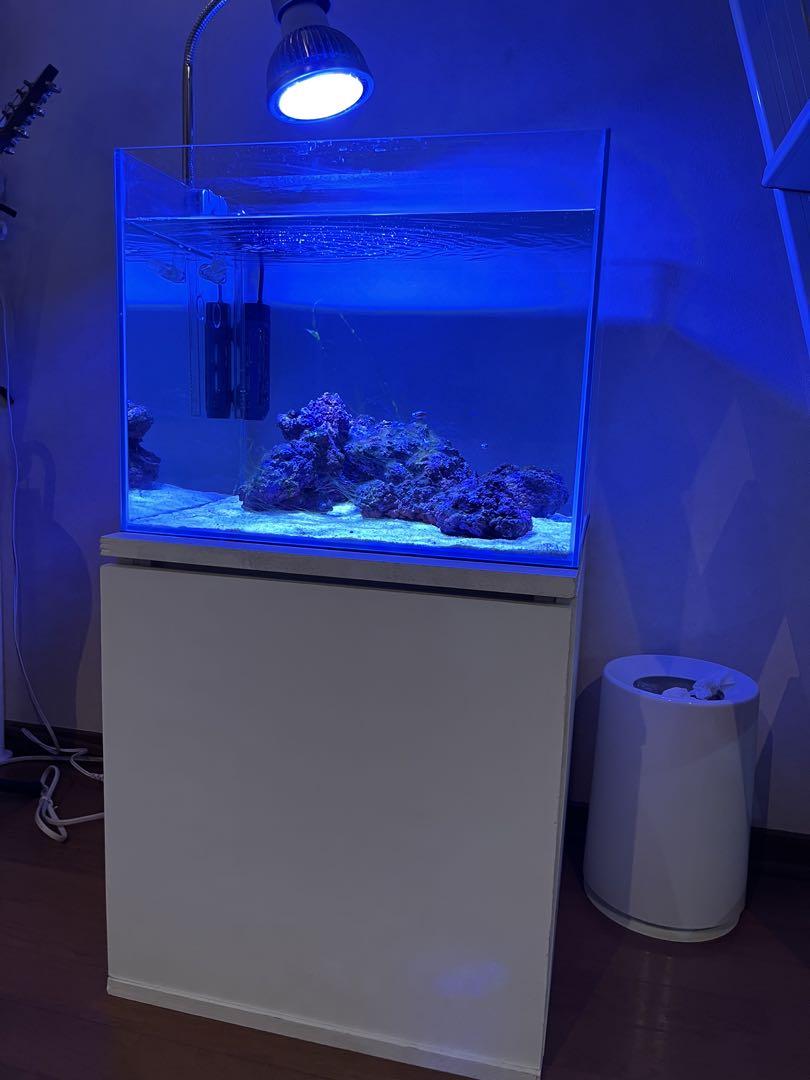 パステルオリーブ 45キューブ ガラス水槽 水槽台付き - 通販 - www ...