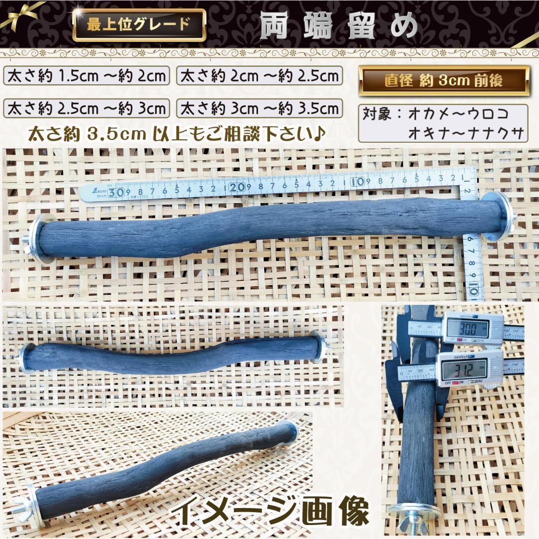 みーこ