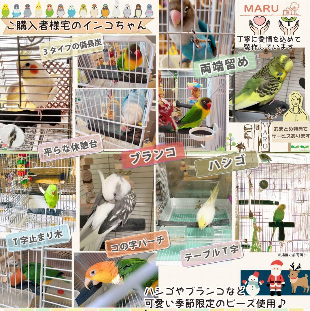 みーこ