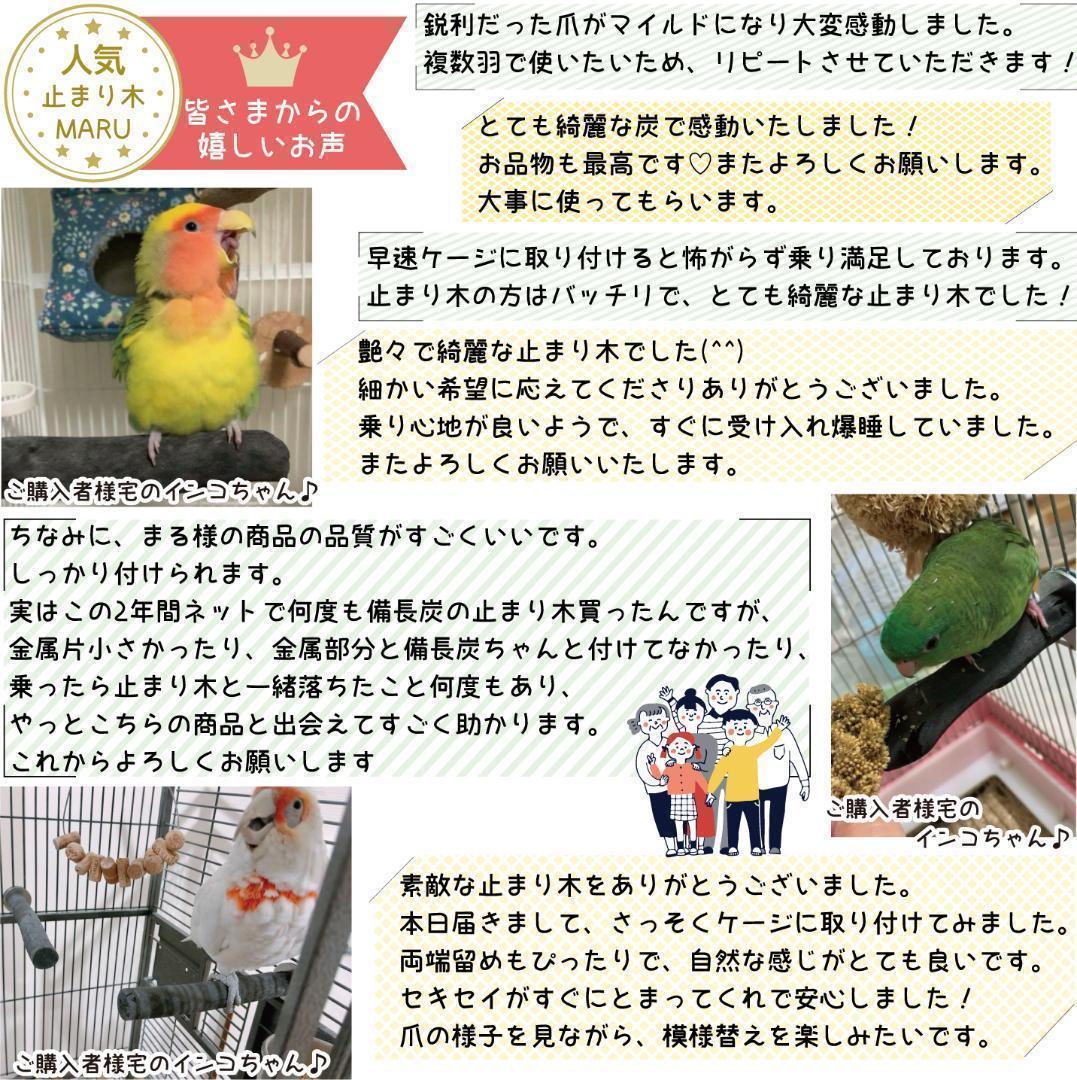 みーこ