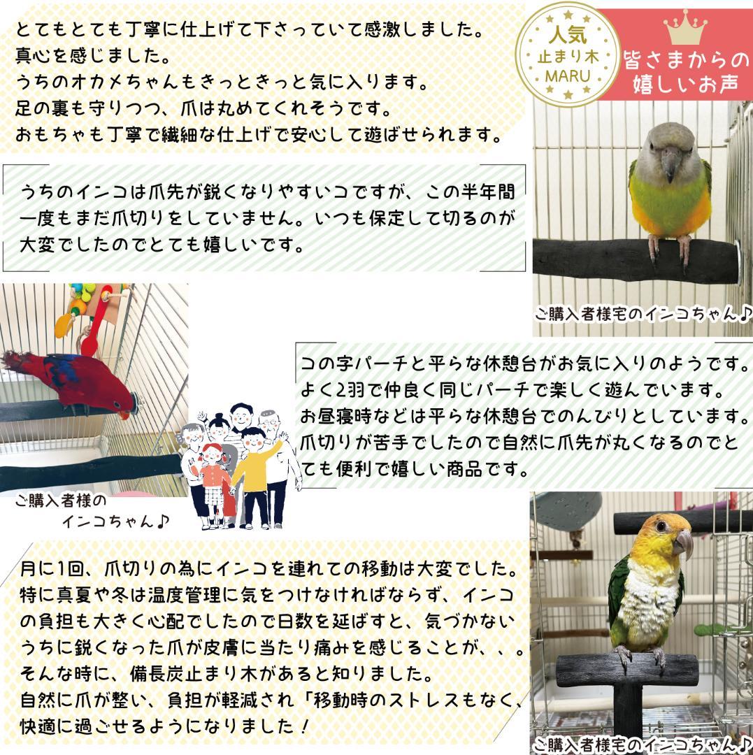 みーこ