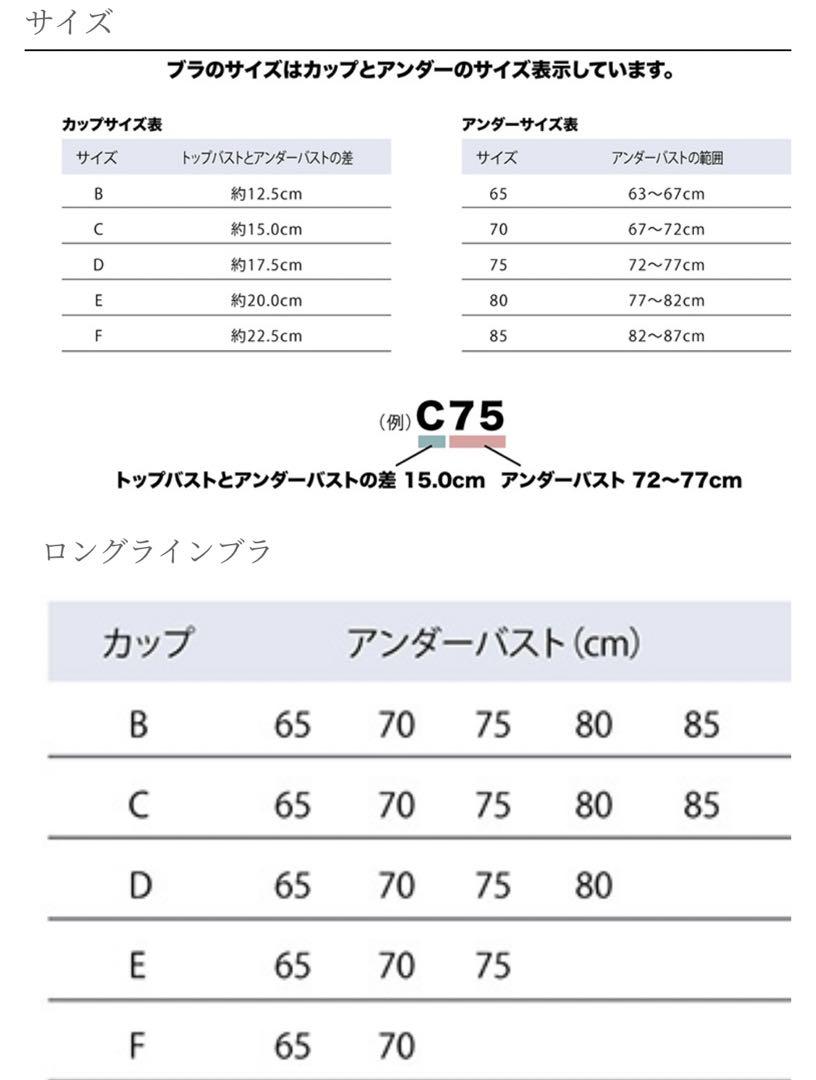 TheD ロングラインブラエレガント