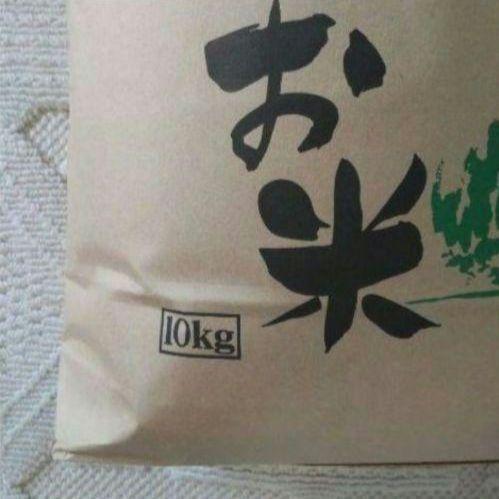 近江米 白米 10kg 令和6年産