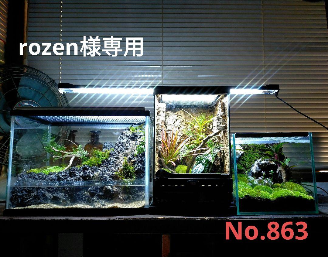 滝の流れるカエルリウム イモリウム アクアテラリウム rozen様 滝の流れるカエルリウム イモリウム アクアテラリウム rozen様